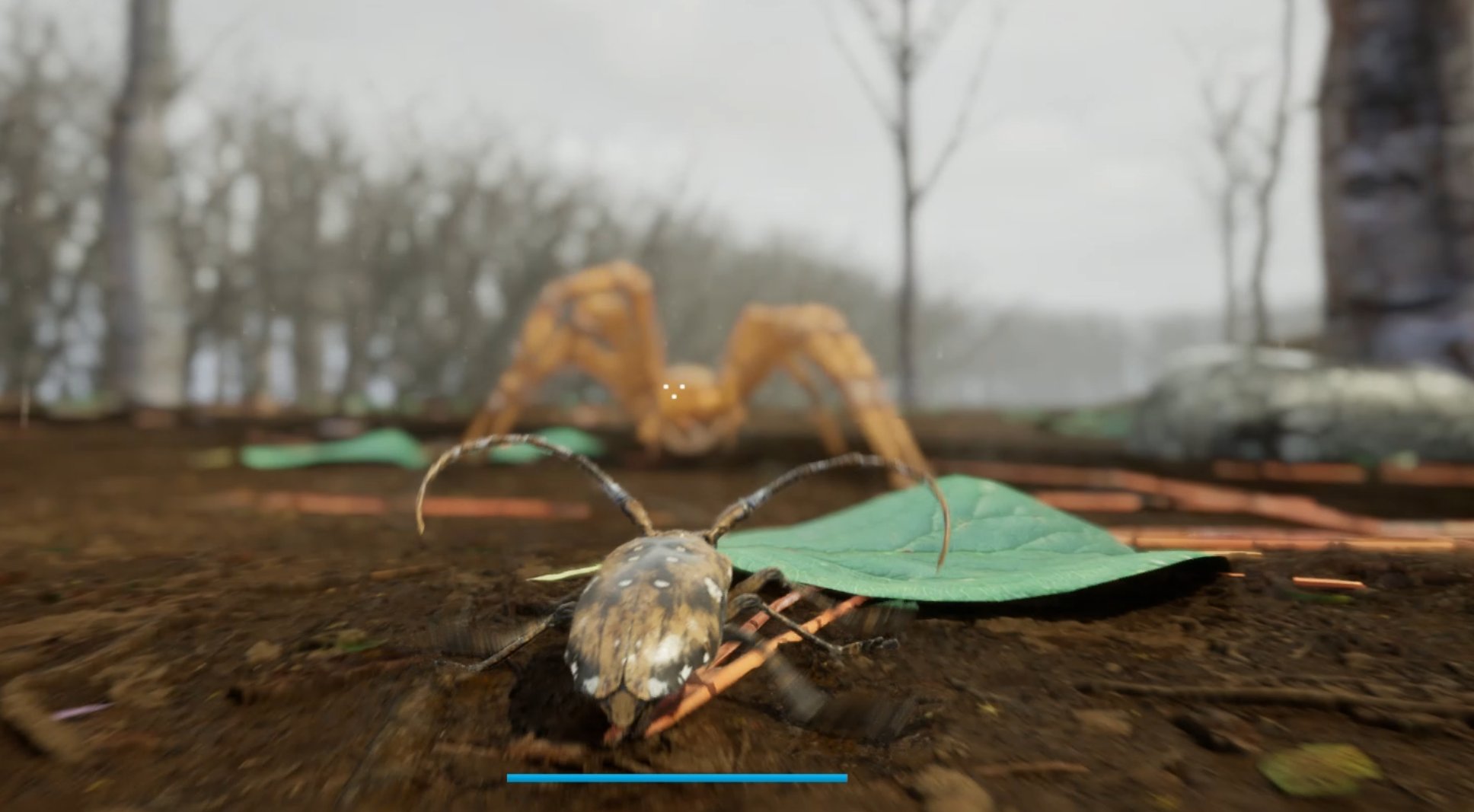 A Bugs Life